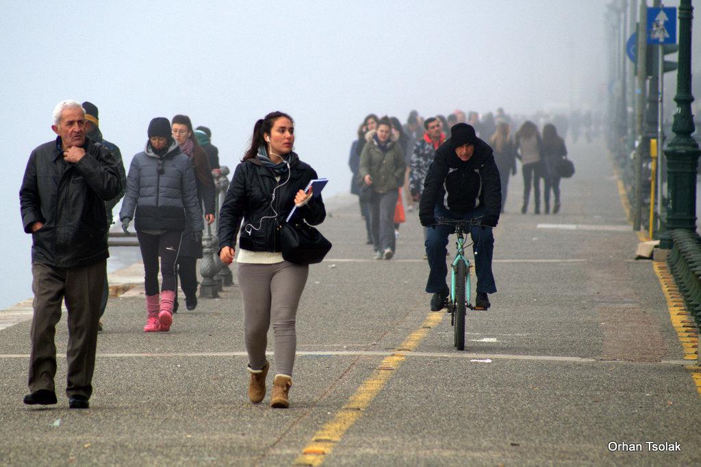 07-dsc000372.jpg 07-dsc000372.jpg