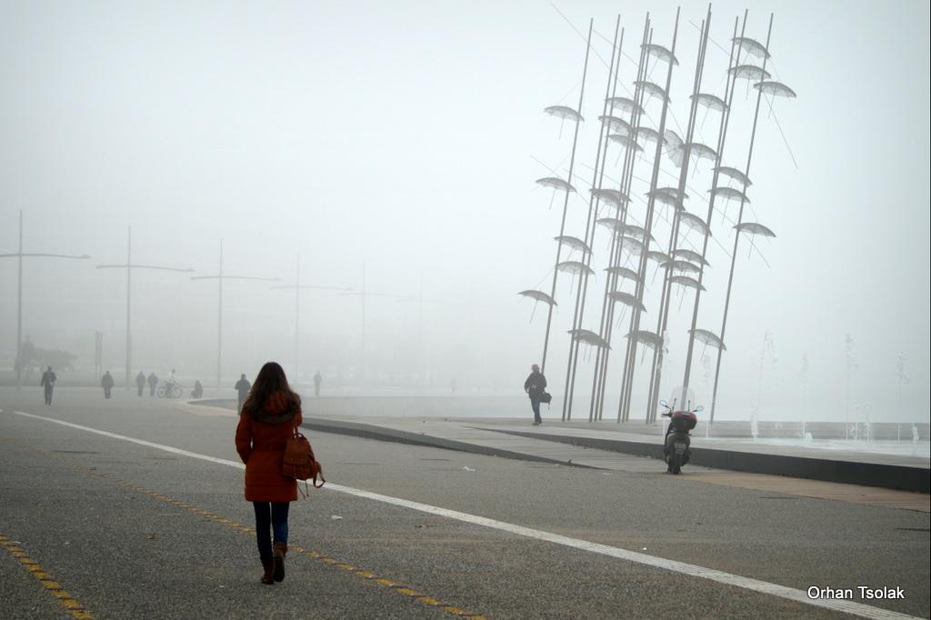 10-dsc000623.jpg 10-dsc000623.jpg