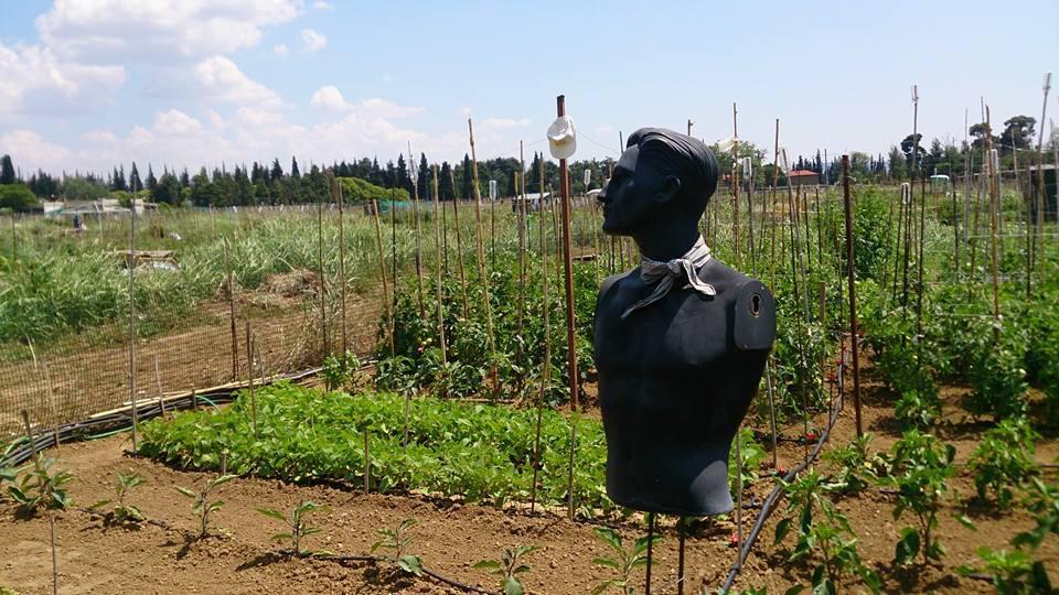 10345551_625865947529152_32215263680014929_n