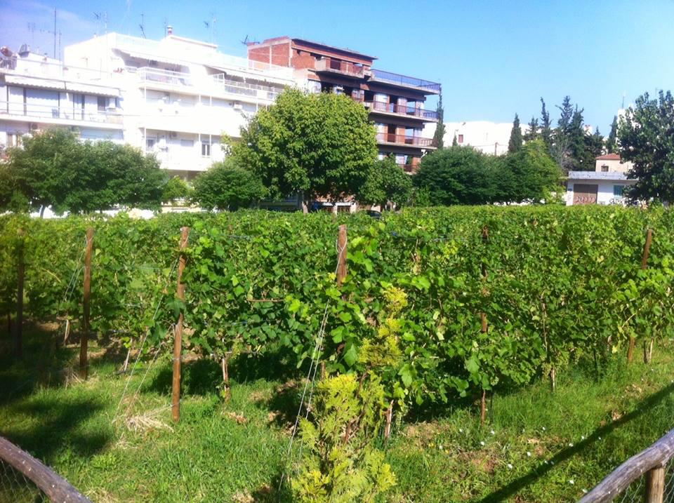 10347477_10152616677377446_6278342731815825155_n