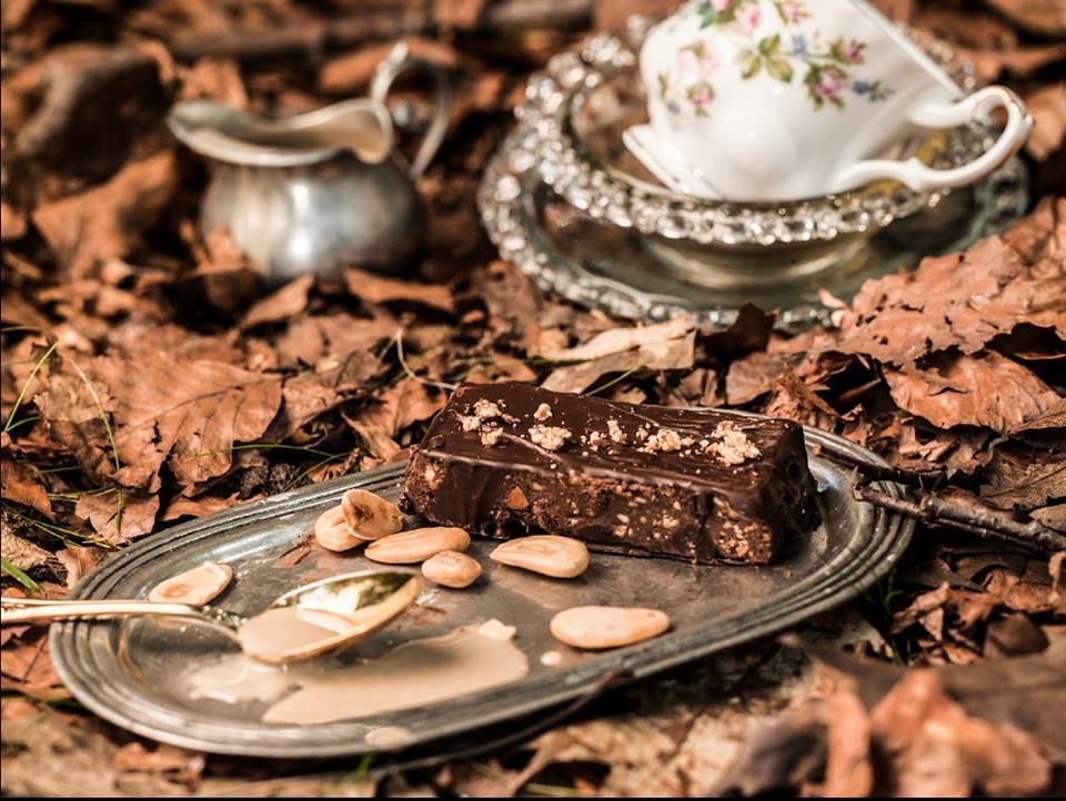 10413428_294559390744768_1995872417394969291_n