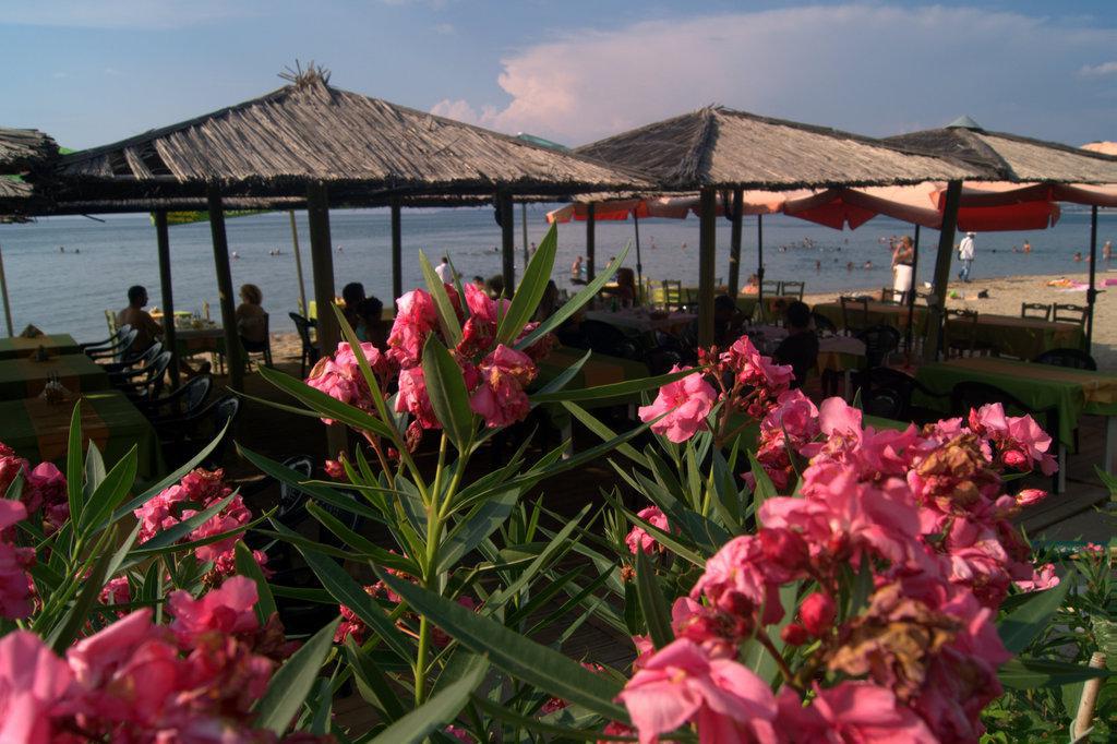 11-dsc09306.jpg 11-dsc09306.jpg