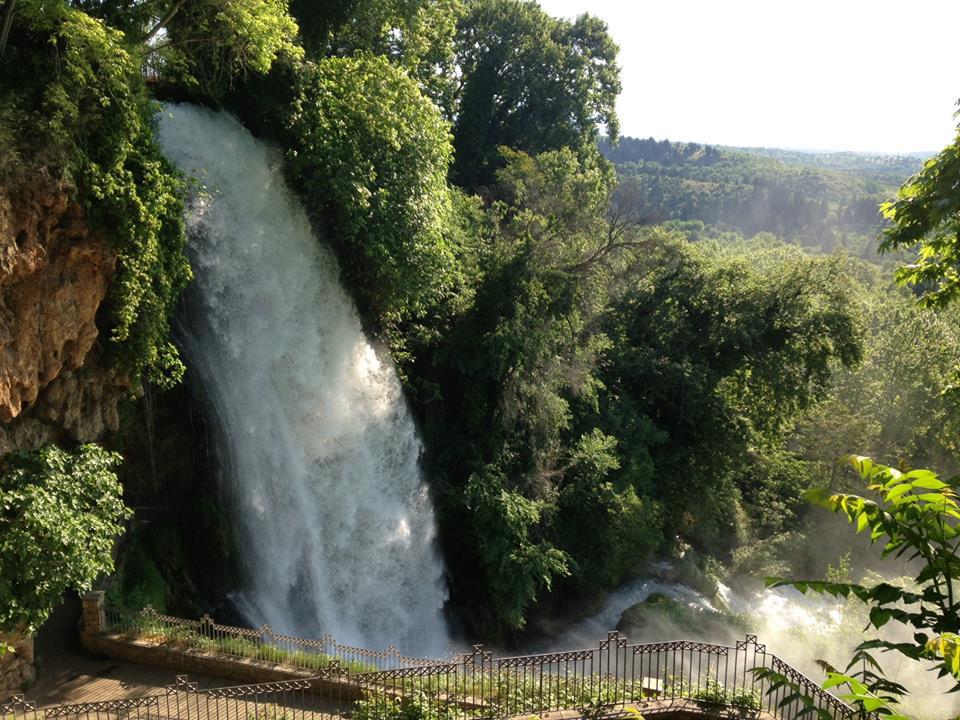 11096477_845139795566717_7062893575279294762_n