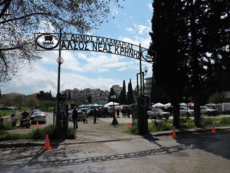 11132119_10205343781566783_1821031446_n