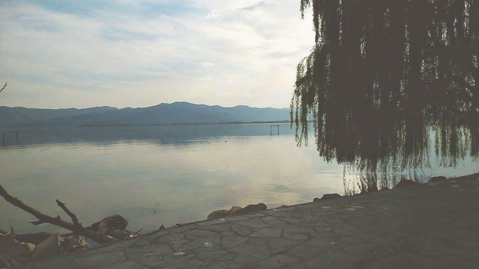 11136952_416740241840062_481846604_n