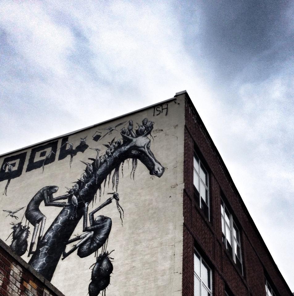 11291893_10205887996693092_688662834_n.jpg 11291893_10205887996693092_688662834_n.jpg