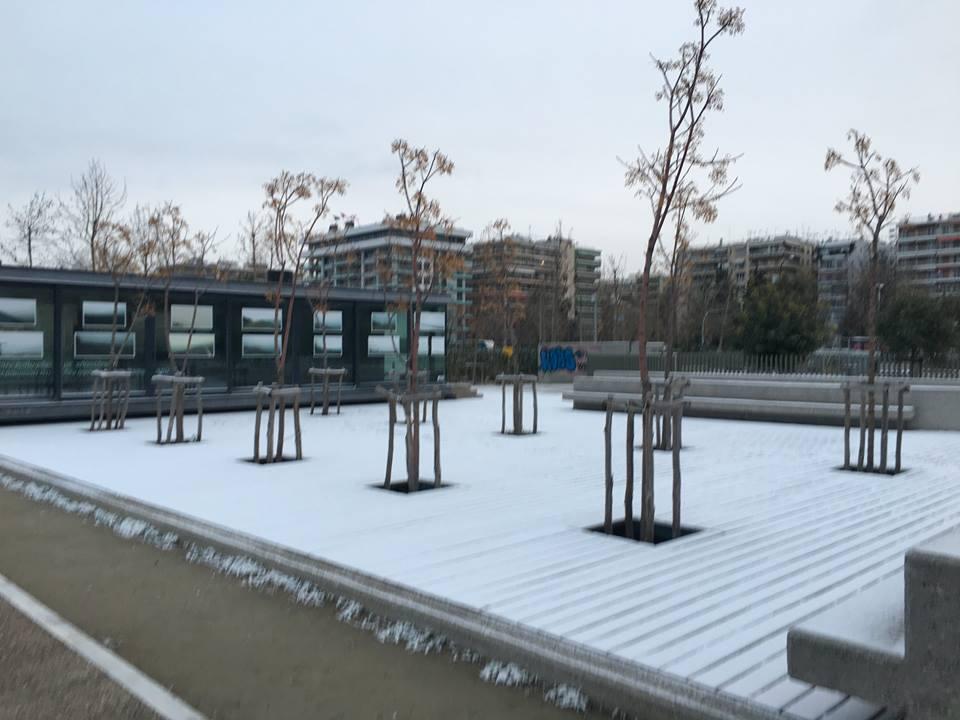 12507550_10153995130557446_2289775269113057050_n