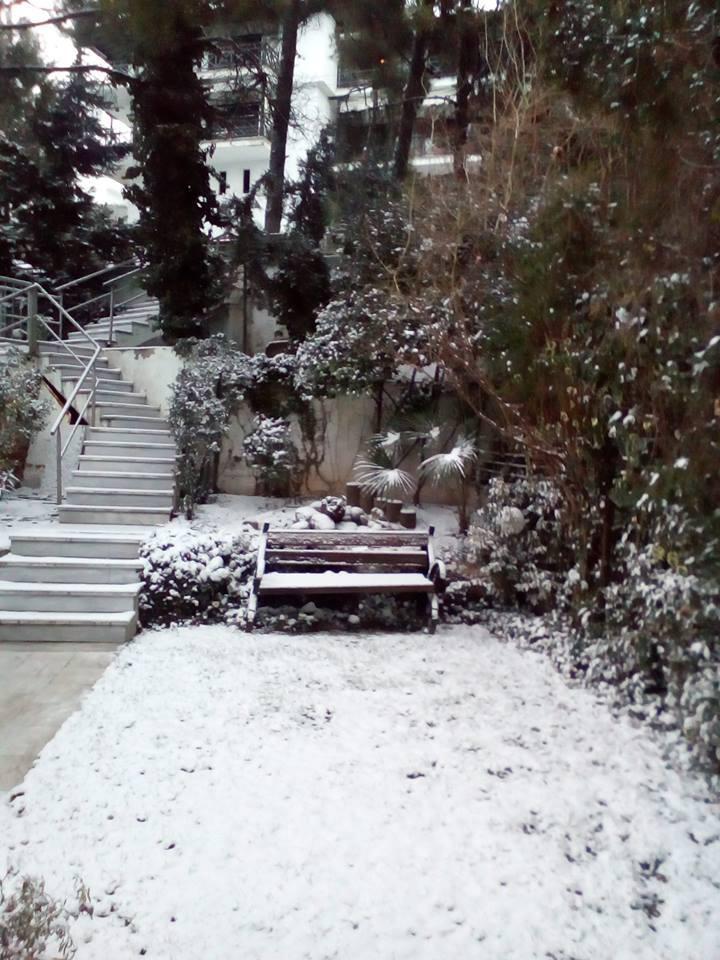 12523166_1504625743172633_8717436311325094645_n