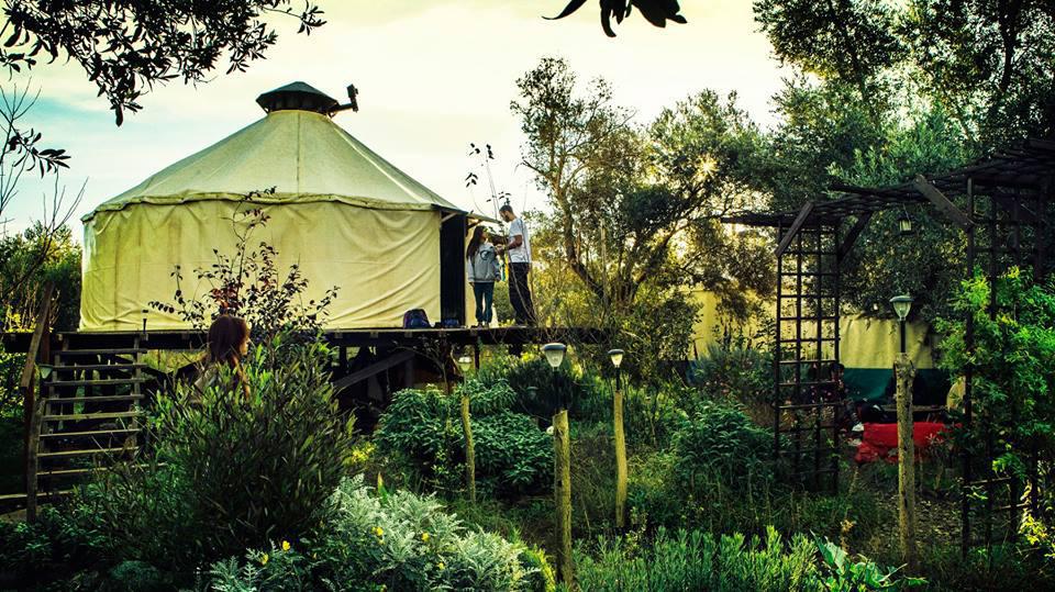 12549002_1090851750945160_7547976779077597068_n