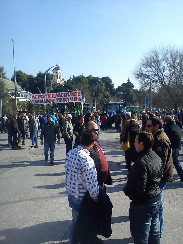 12573030_10205899707558498_5513797432460023740_n