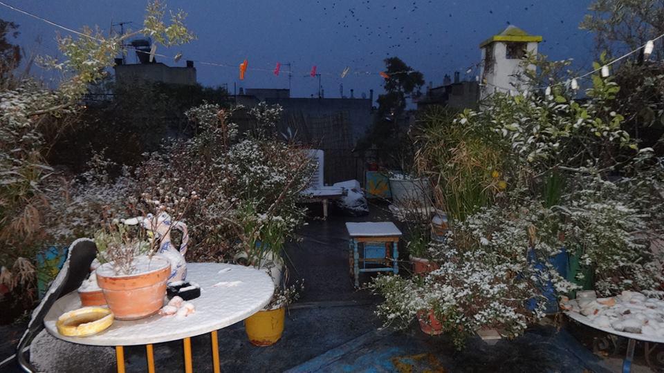 12573693_547574695409458_4814201149828445821_n