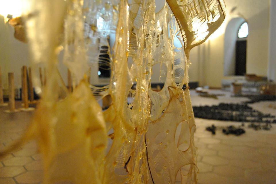 12573705_1570614626585652_1733086395869538116_n