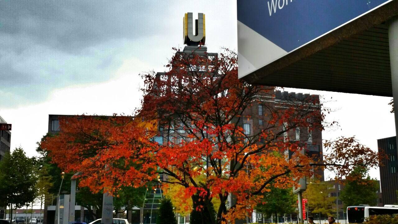 12675097_10206663029588799_287670201_o