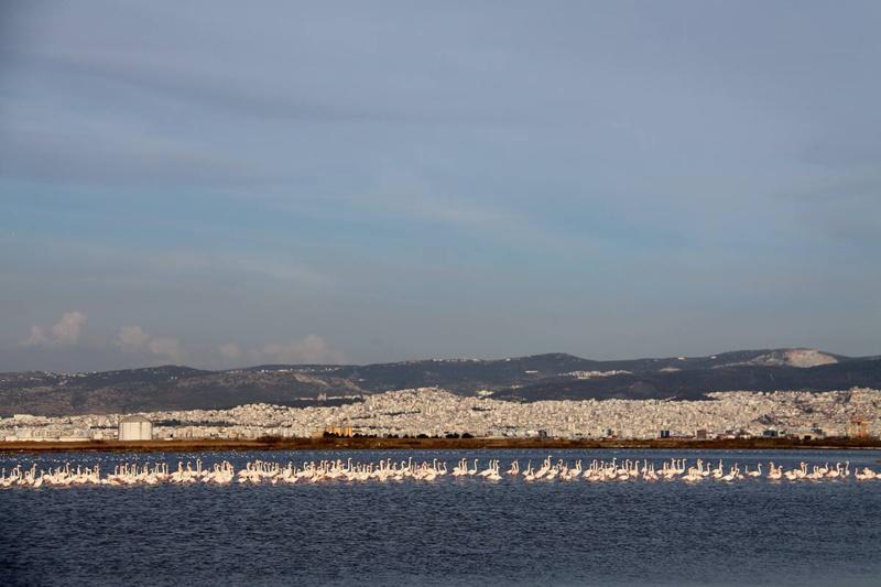 12787247_1104021839618312_198454417_o