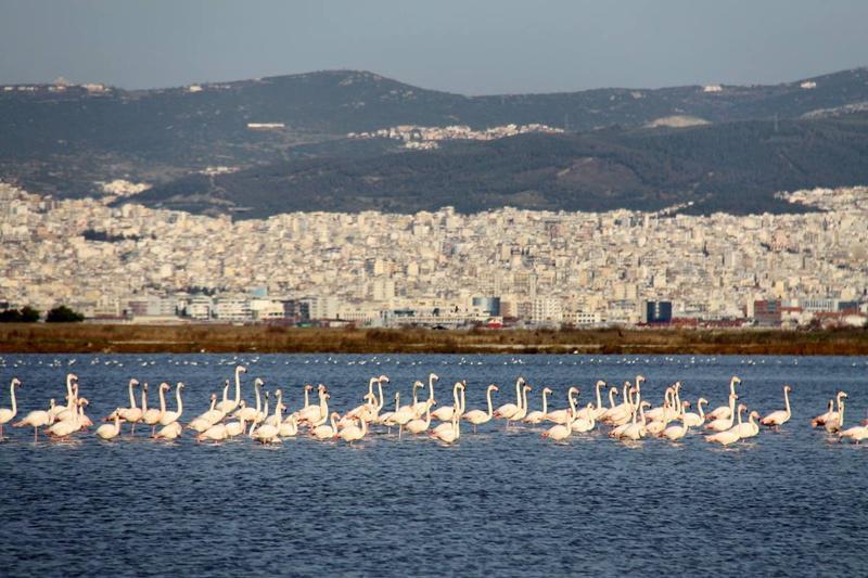 12790068_1104021969618299_370367527_o