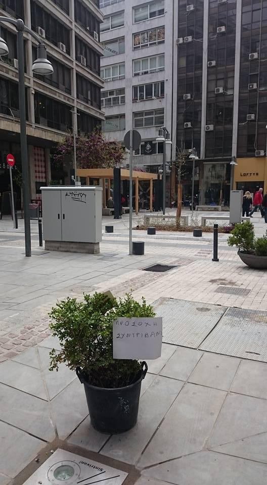 12938129_1109301502445280_3137283667324784404_n