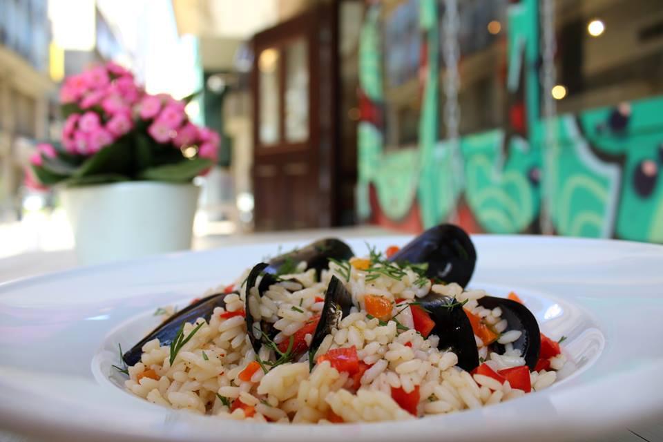 13227226_973686202699543_7172136871188050753_n