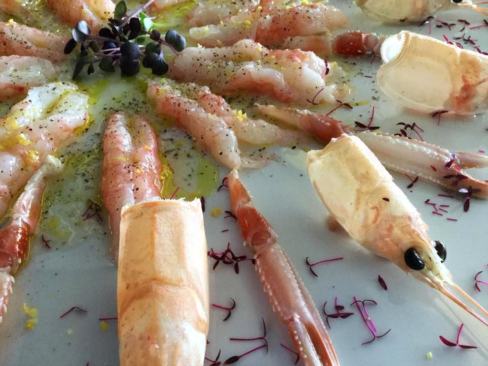 13239394_1207123872631277_3541815237994747056_n