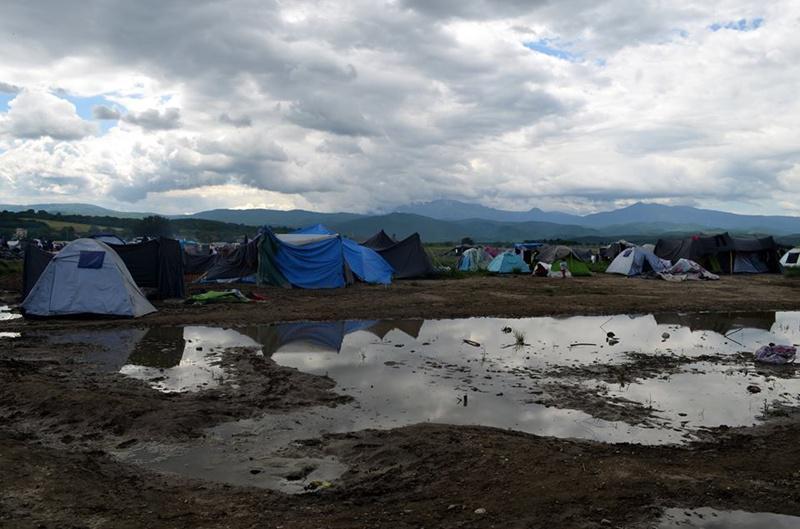 13260061_10208949578073242_7788624989440607321_n