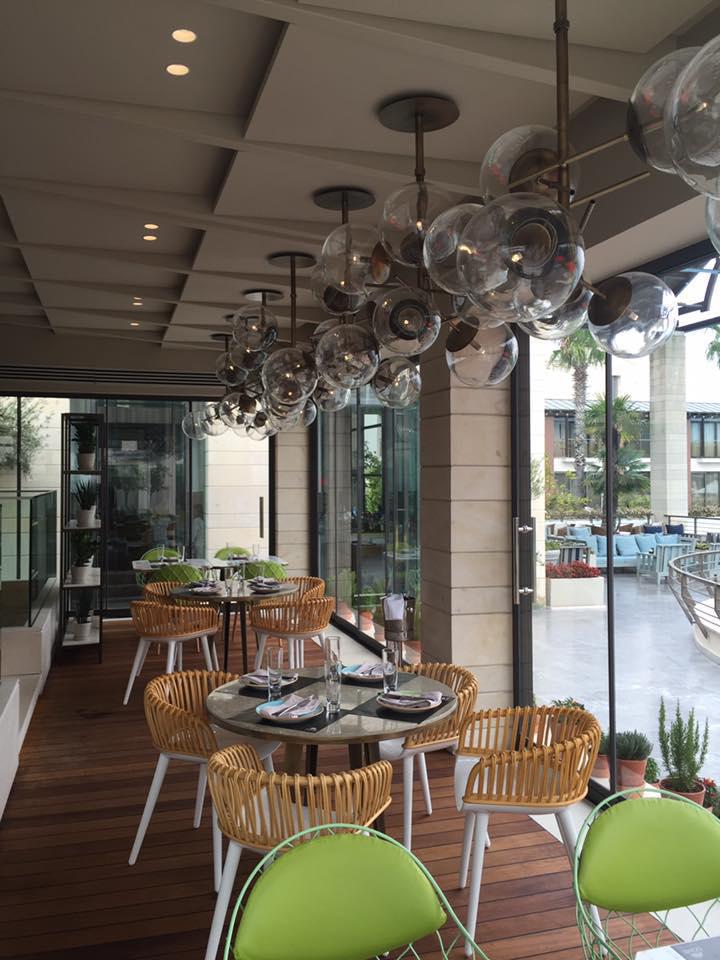 13882664_1360662563948472_2969884413478726607_n[1]