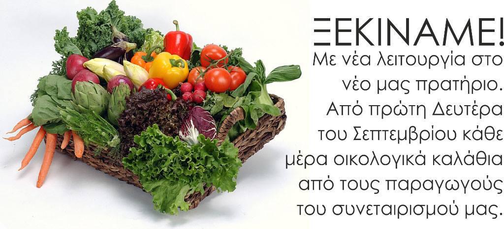 14107706_1253166964716384_5663288385259855173_o