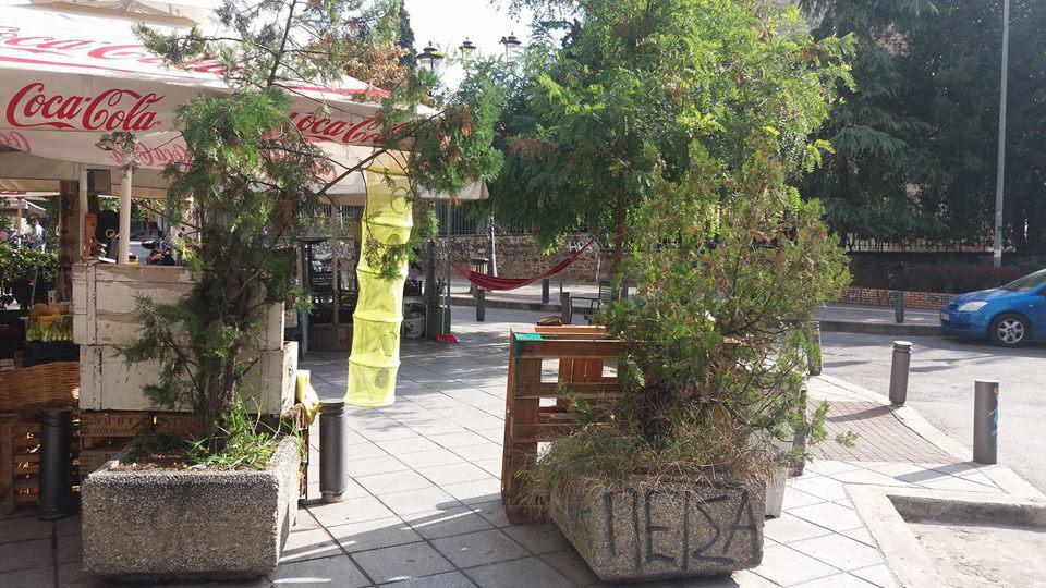 14390957_190181094725327_9075903626792066181_n