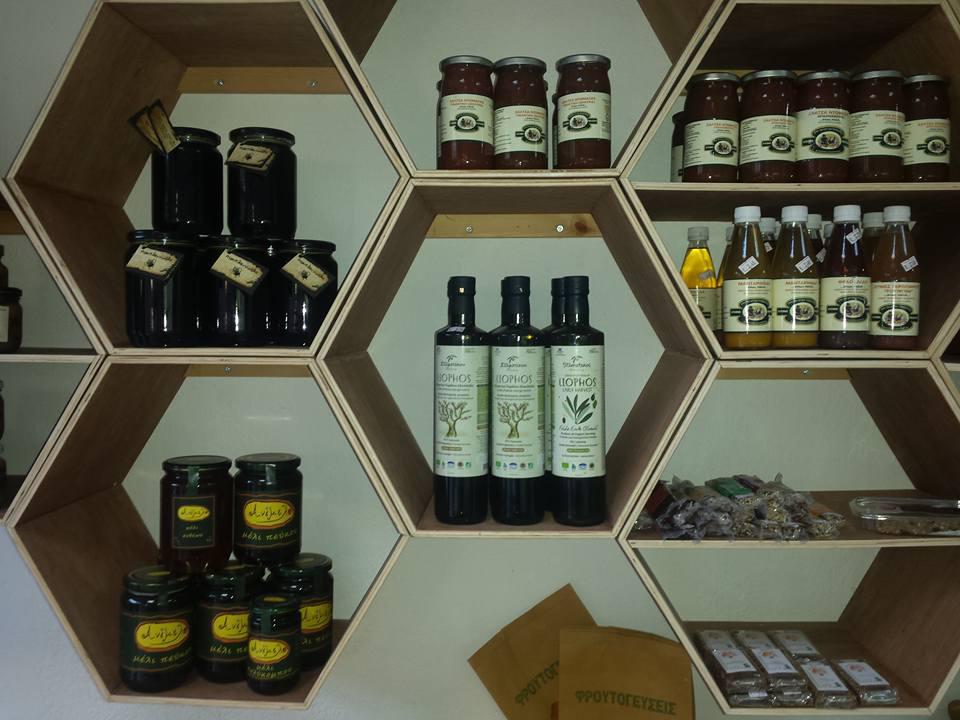 14484593_1283481595018254_2013958528741657414_n