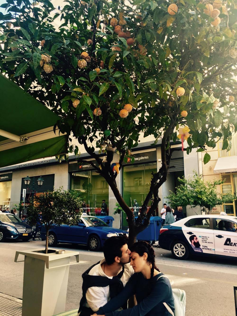 14550874_1186354881408381_96266792_o