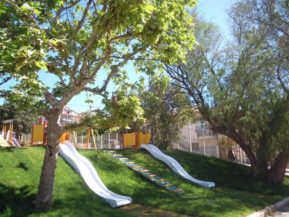 14568159_1194302463941997_3210745649984191513_n