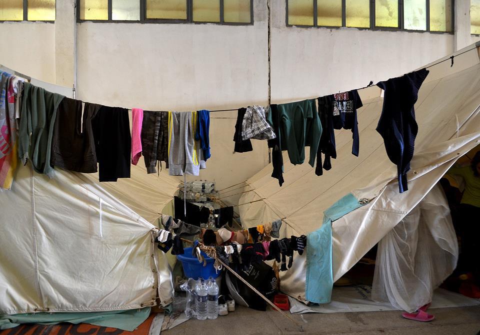 14591615_10210311594602804_6340070966279903108_n