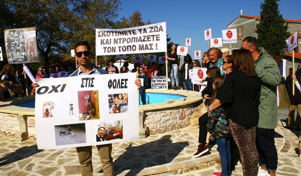 14639817_1142192769163216_7664449489209345776_n