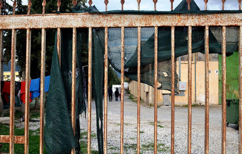 14732281_10210311647364123_1757188721173518576_n