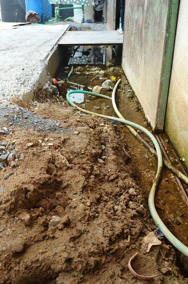 14902940_10210311606723107_719242240770778786_o