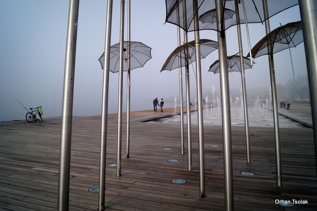 15-dsc000895.jpg 15-dsc000895.jpg