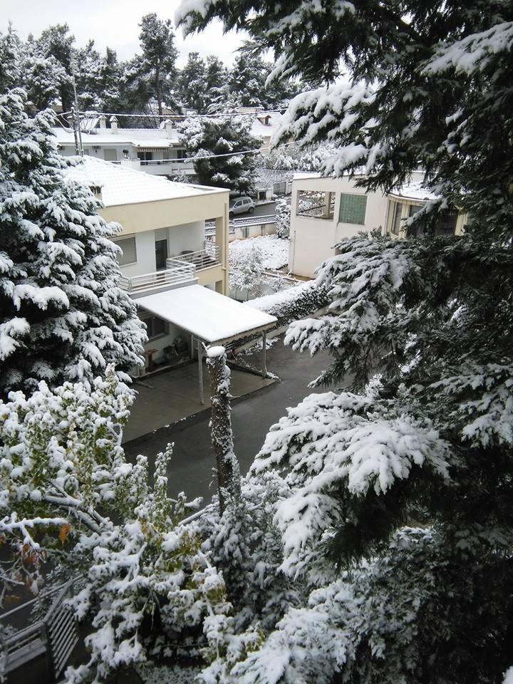 15230718_1607791516189388_4931098435162195563_n