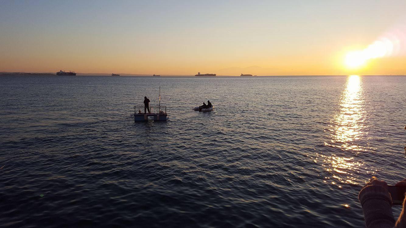 15397665_10210391709882421_1996835934_o