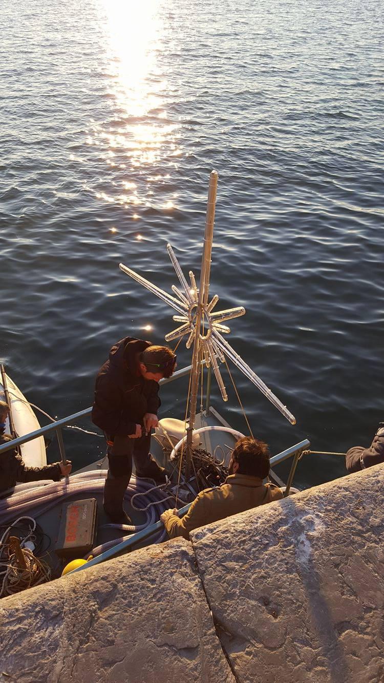 15595876_10210391714162528_669889458_o