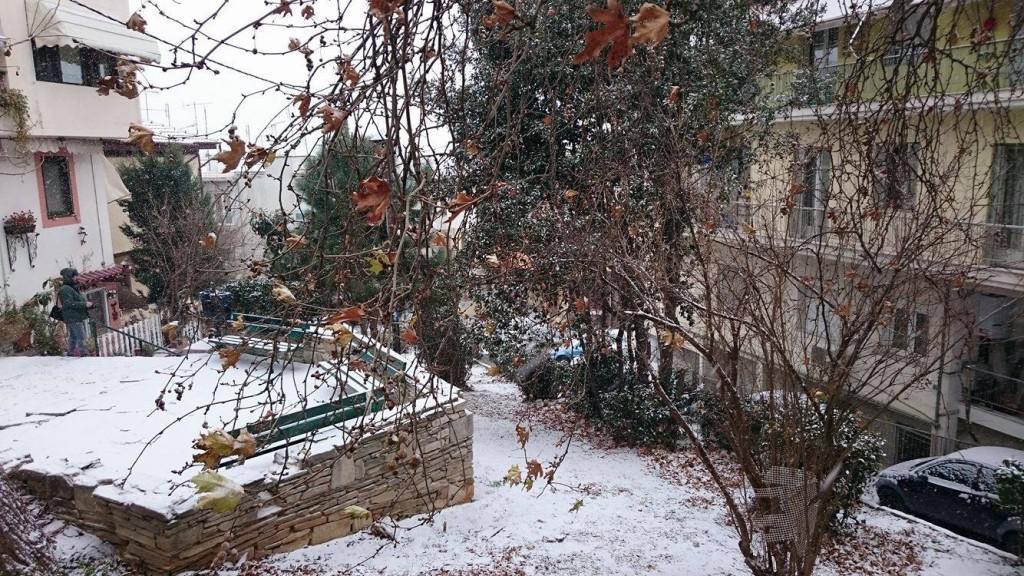 15942890_1396977023677725_159187330_o