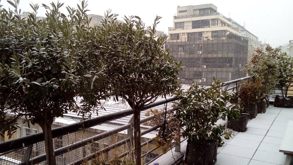 15966539_10154298011939226_90508976_o