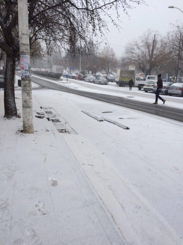 15970685_980576765408144_1895832822_n