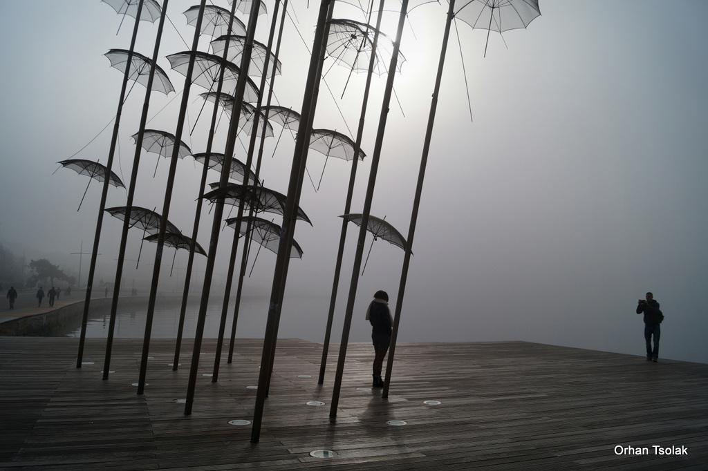 16-dsc000965.jpg 16-dsc000965.jpg