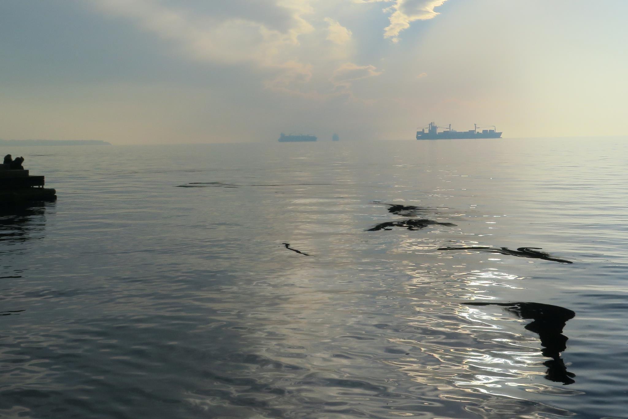 16106844_10154769486087367_830826665_o