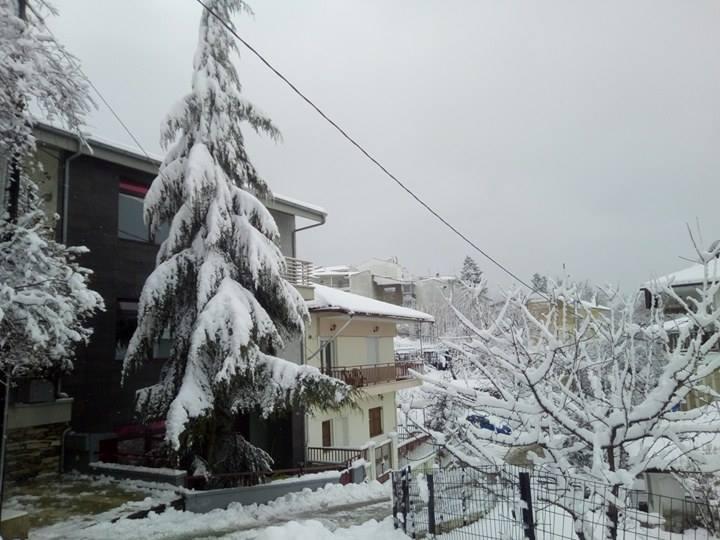 16128003_10210376887570372_768068370_n