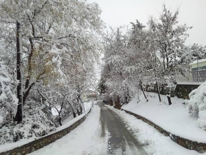 16176815_10210376891570472_547872375_n