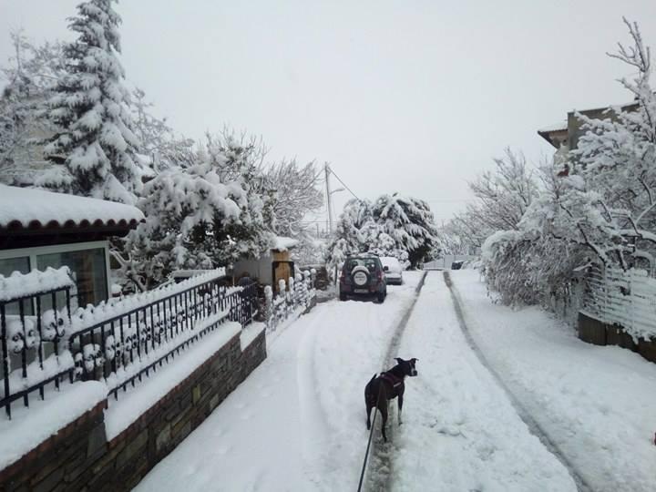 16176911_10210376887450369_1009168879_n