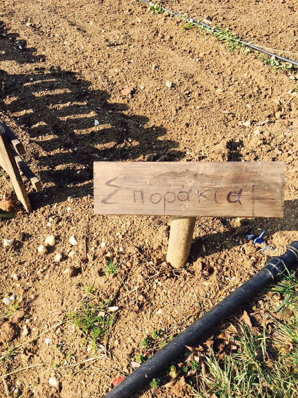 16231099_10154280570006344_359470935_o