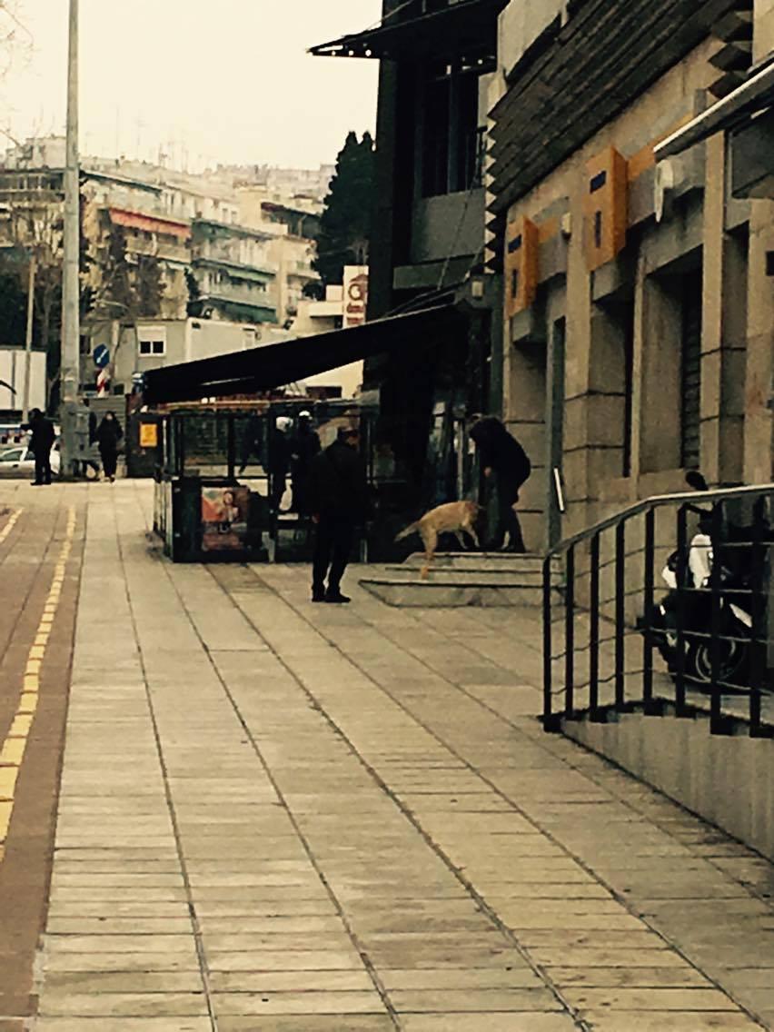 16444157_10154309571676344_64685896_o