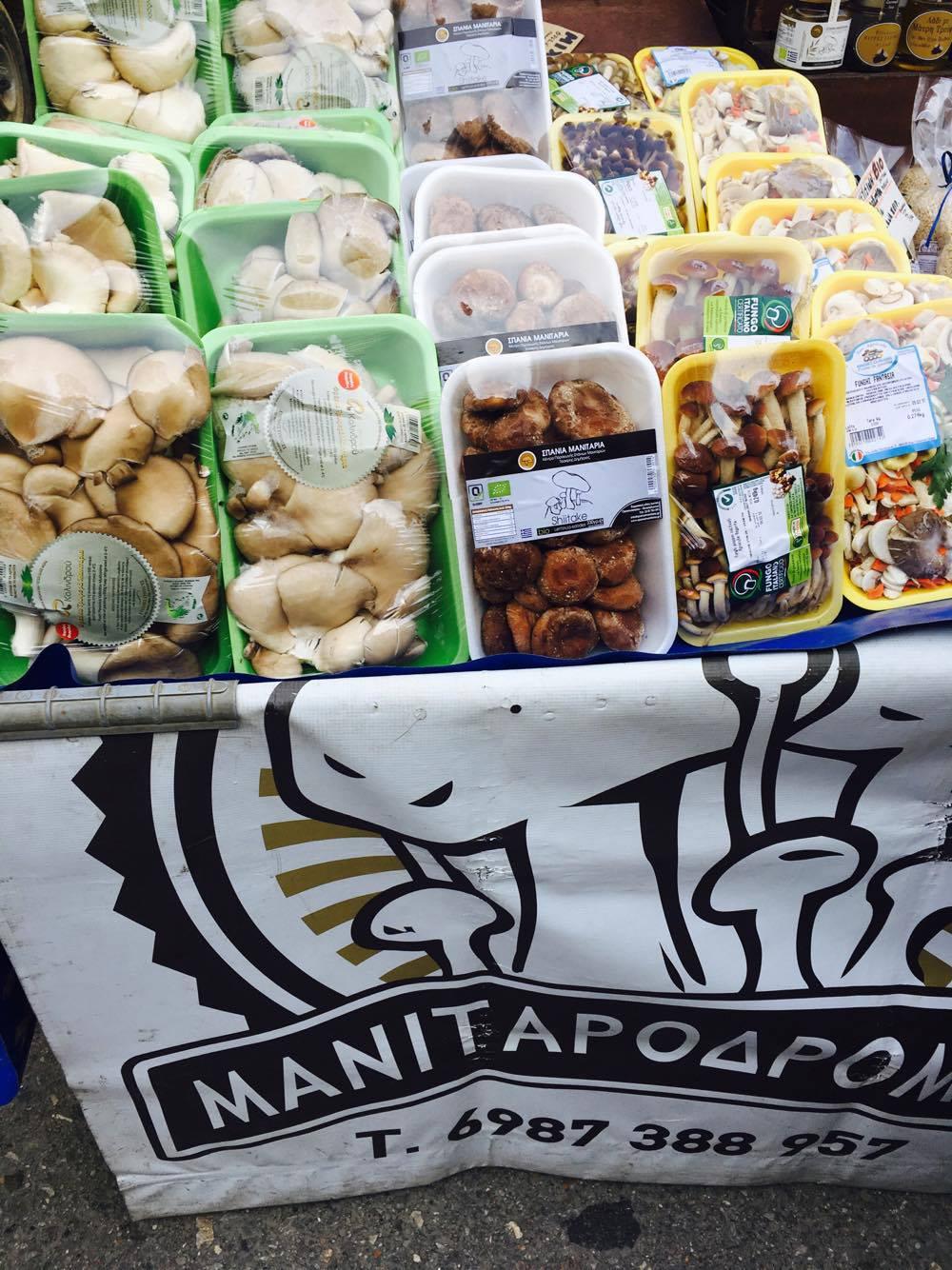 16491556_10154318069836344_1079719442_o