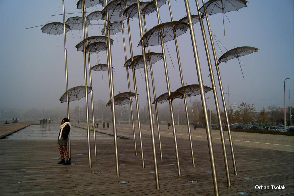 17-dsc000984.jpg 17-dsc000984.jpg