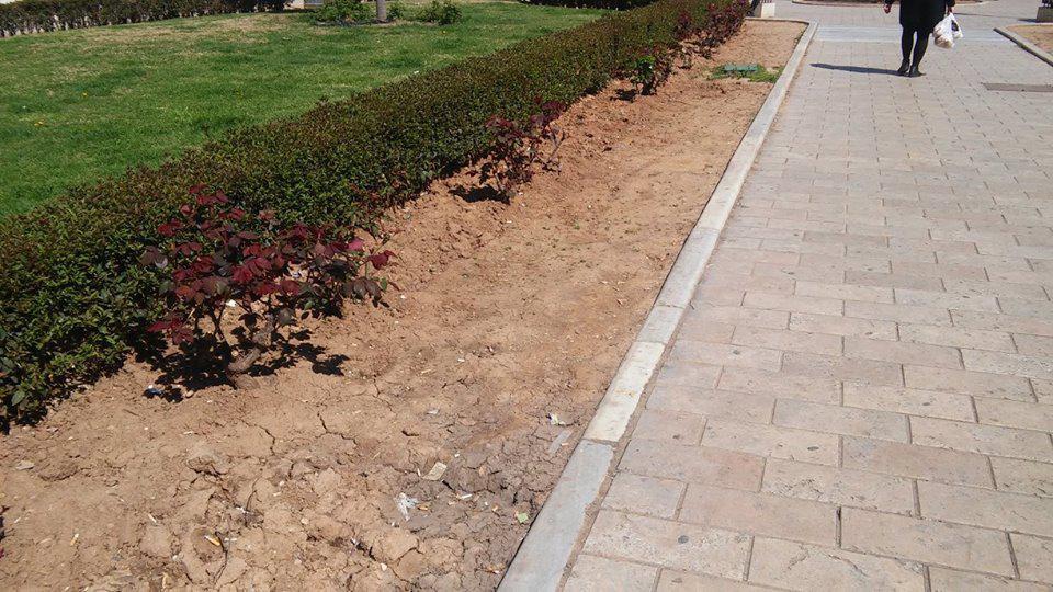 17308921_1463463797049291_893254925233558246_n